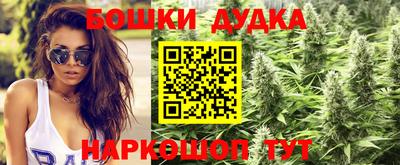 сатива Азнакаево